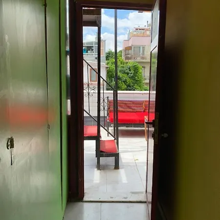 Kâki *